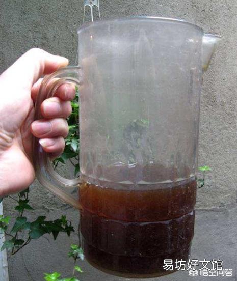 家里如何让柳树皮快速发酵呢?