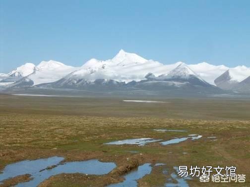 夏季光照强,球兰能经得住太阳的暴晒吗?