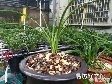 北方养花的土里可以搭配锯末吗?容易滋生细菌吗?