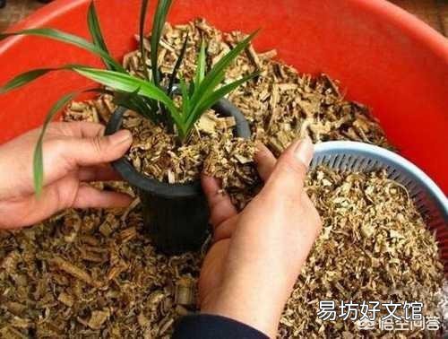 北方养花的土里可以搭配锯末吗?容易滋生细菌吗?
