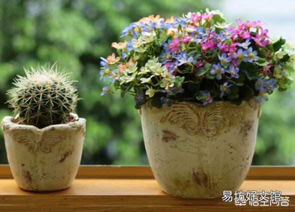 阿司匹林什么花都可用吗?