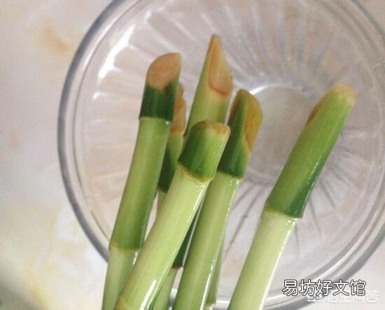 富贵竹刚生根多久换一次水？