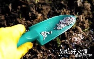 磷酸二氢钾可以直接和在盆土里栽花吗？