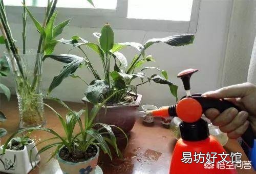磷酸二氢钾可以直接和在盆土里栽花吗？