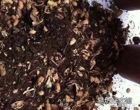 没泡过水的茶叶发霉可以种种花吗?