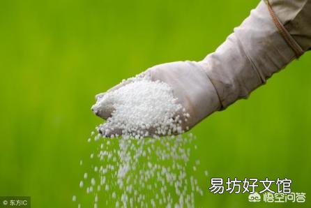 硫酸亚铁和磷酸二氢钾能同时用吗？