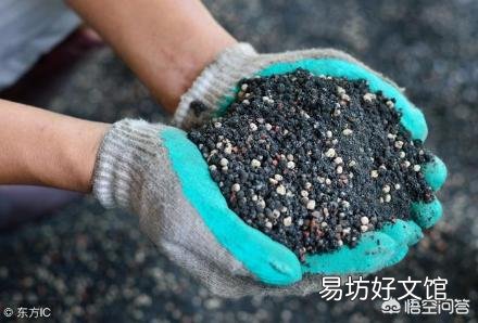 硫酸亚铁和磷酸二氢钾能同时用吗？