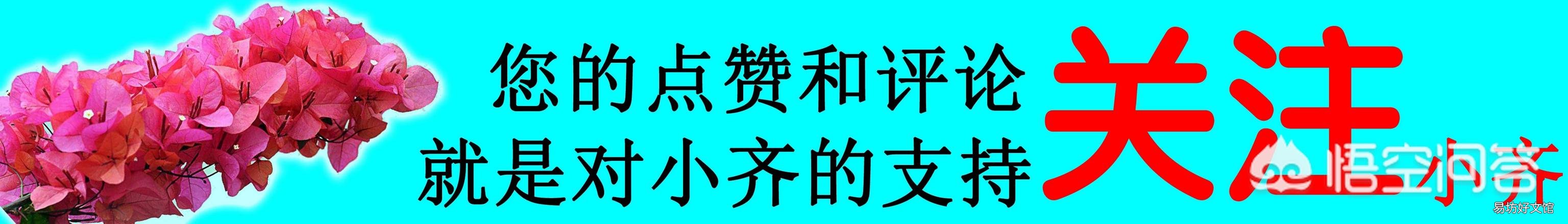 栀子花叶发黄是缺铁还是缺肥?