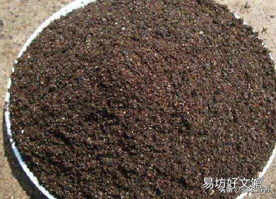 茉莉花怎样扦插?