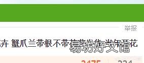 该如何购买蟹爪兰小苗,需要注意什么?