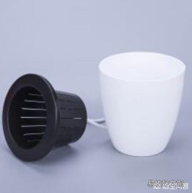 哪些花不用频繁的浇水？