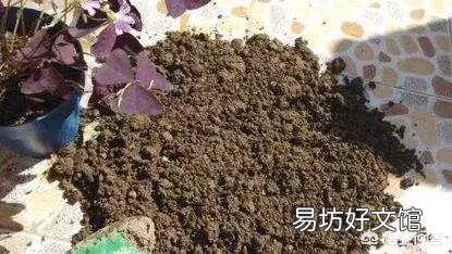 如何给花土杀虫?