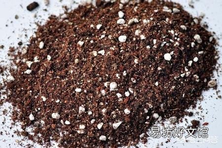 蟹爪兰应该用什么土？日常如何打理？