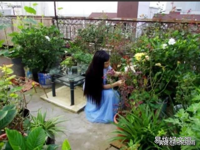 栀子花叶子全部干掉了还能活吗？应该怎么补救？