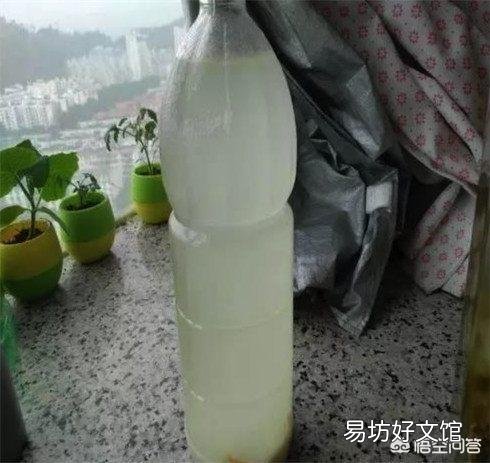 香油渣可以直接拌在土里当基肥吗?