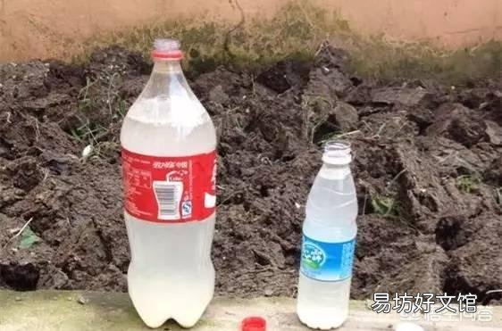 香油渣可以直接拌在土里当基肥吗?