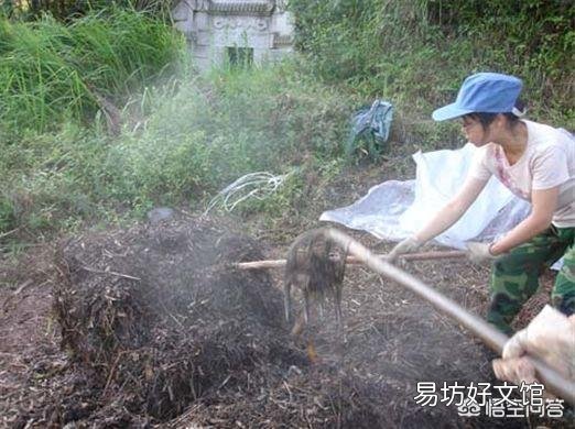 香油渣可以直接拌在土里当基肥吗?