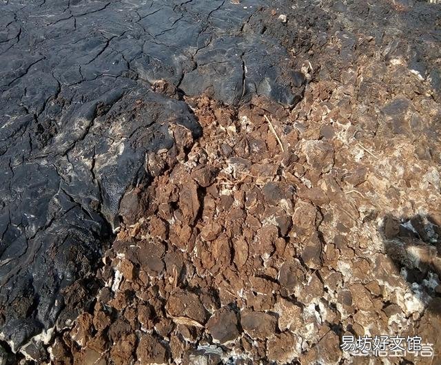 香油渣可以直接拌在土里当基肥吗?