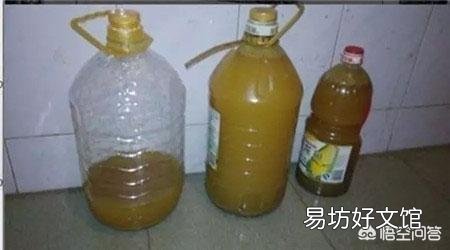 春季盆栽月季,施什么样的肥效果好?