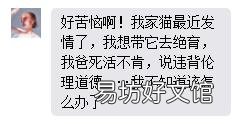 公猫多大开始发情(公猫大概几岁发情)