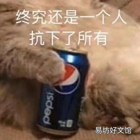 公猫多大开始发情(公猫大概几岁发情)