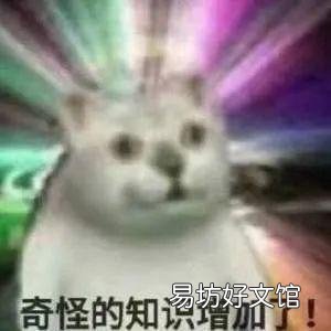 公猫多大开始发情(公猫大概几岁发情)