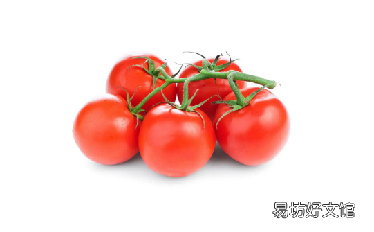 西红柿可以放多久 西红柿放冰箱还是常温好