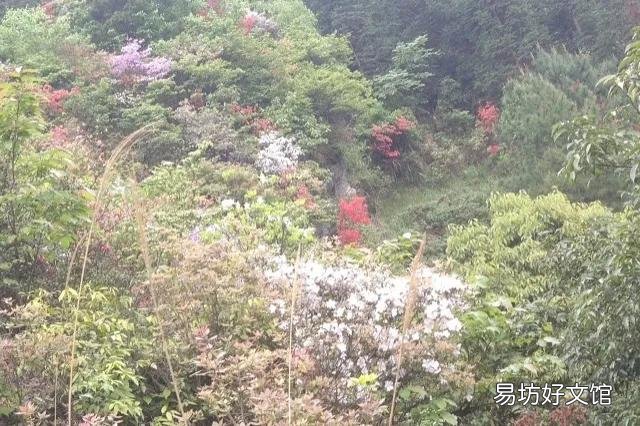 为什么清明节要扫墓祭祖,祭扫的意义和内涵在哪里呢?