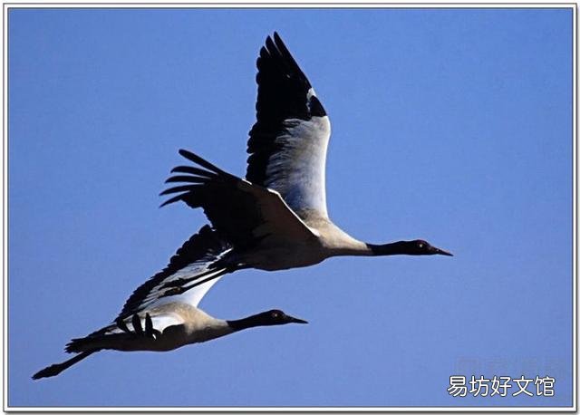 穷养儿子富养女,这是古训,现在社会还有必要吗?