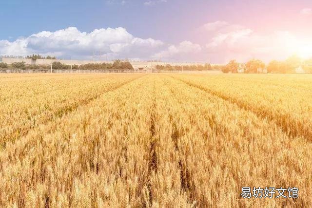 古代粮食总是不够的原因是什么?