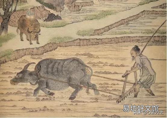 俗语“腊月初一晴,来年耕牛歇”什么意思?晴天不好吗?