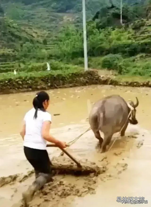 生产队时,农民家里最值钱的东西有哪些?
