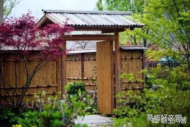 家院里栽几颗树好?