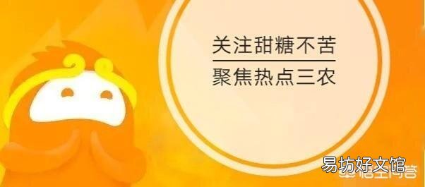 家院里栽几颗树好?