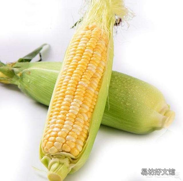 玉米生长到半米高，根部长出的根叉用不用掰掉呢？