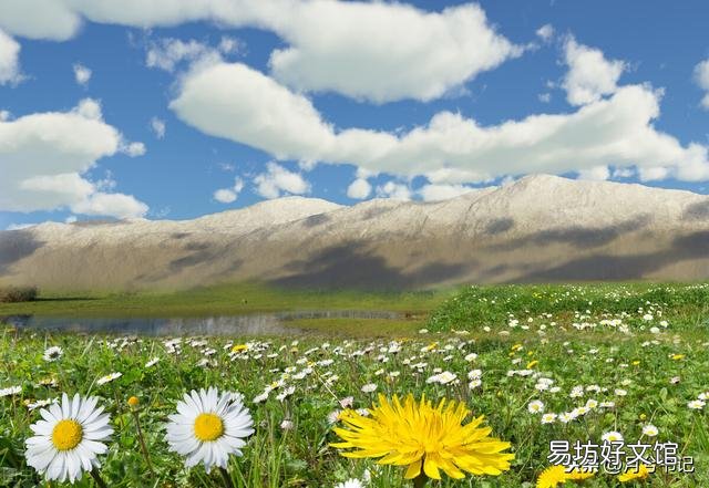 无我和忘我的区别是什么？