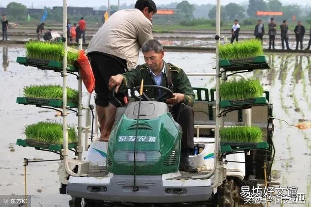 穷人的幸福是什么?