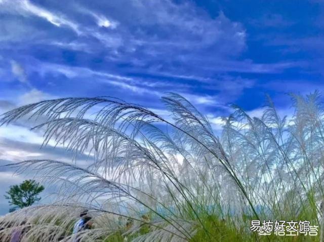 为什么说“言轻莫劝人,人穷莫入众”?
