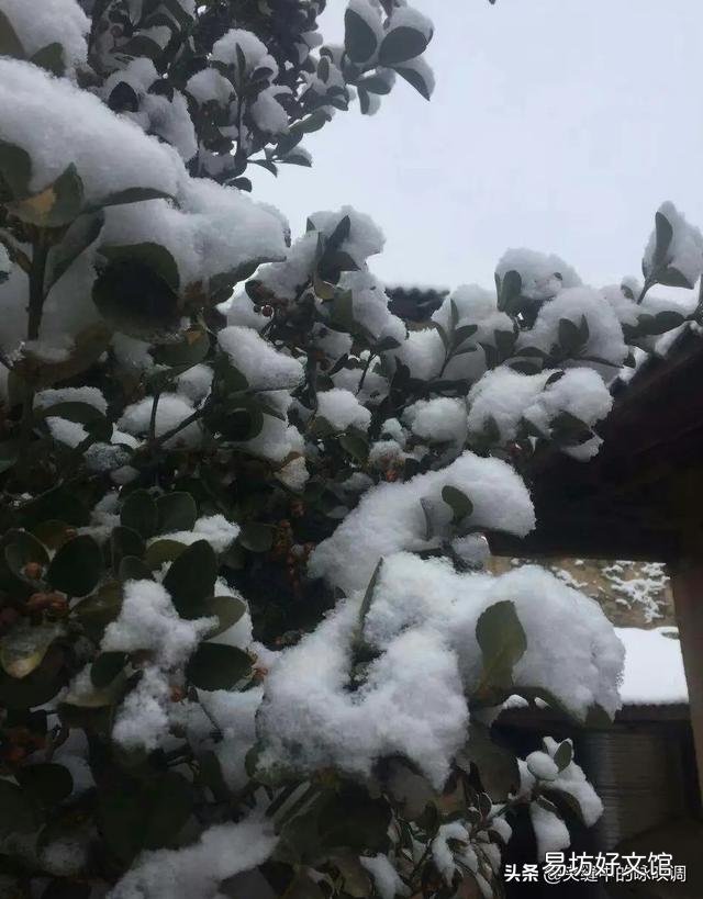 请老师帮忙如何为题图雪景作一首诗?
