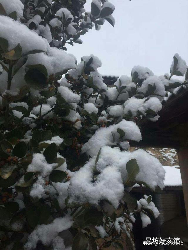 请老师帮忙如何为题图雪景作一首诗?