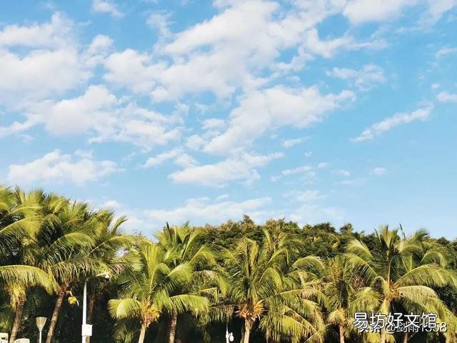 这三张照片,有什么优点、缺点,缺点应该怎么改正?