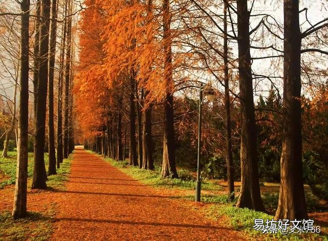 这三张照片,有什么优点、缺点,缺点应该怎么改正?