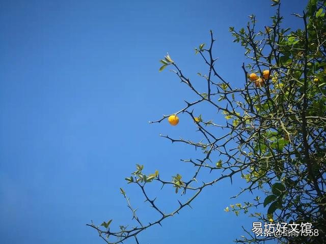 这三张照片,有什么优点、缺点,缺点应该怎么改正?