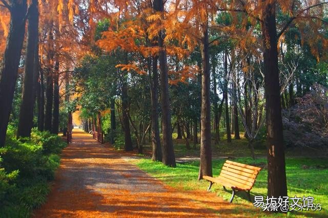 这三张照片,有什么优点、缺点,缺点应该怎么改正?