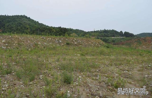 农村人常说：“闲土三分力”，你认为什么样的“土”称为闲土？