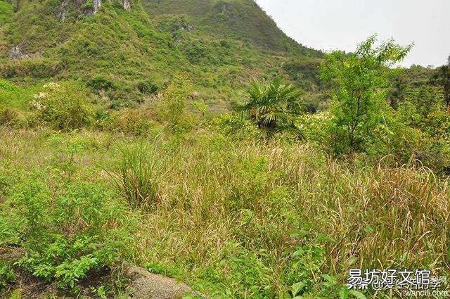 农村人常说：“闲土三分力”，你认为什么样的“土”称为闲土？