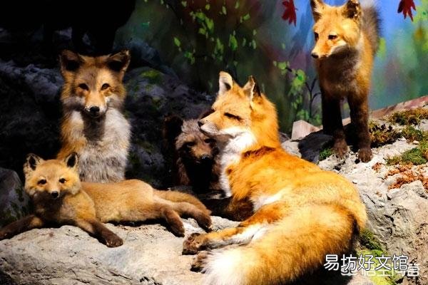 天道,懂得规律,遵守规律。规律到底是什么?