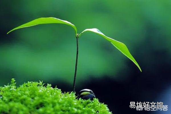 天道,懂得规律,遵守规律。规律到底是什么?