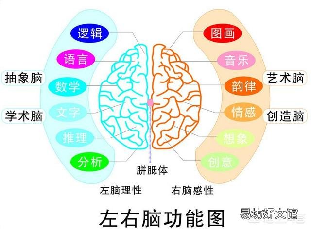 睡眠时,意识在哪里?