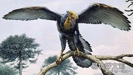先有的鸡还是先有的蛋?这个问题有什么含义?
